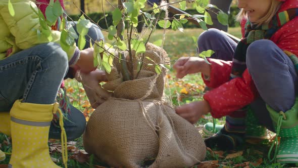 Family Preparing for Planting Tree