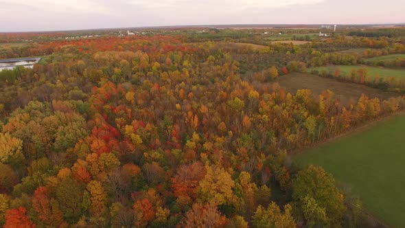 High angle forward drone flight looking down on fall foliage around wide open farm fields. Camera TI