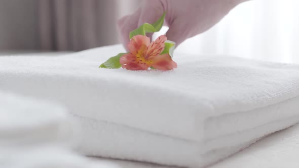 Unknown Caucasian Maid Putting Tender Flower on Crystal Clear White Towels Lying on Bed