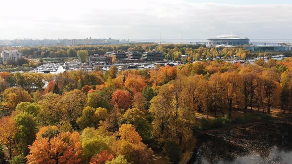 Aerial View of the Autumn Park with Bright Yellow Trees and the Zenit Arena Stadium in St