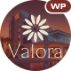Preview icon