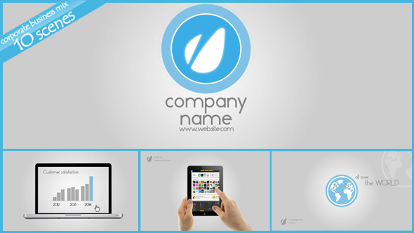 Corporate Business Mix alt