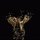 Golden Splash 2 - VideoHive Item for Sale