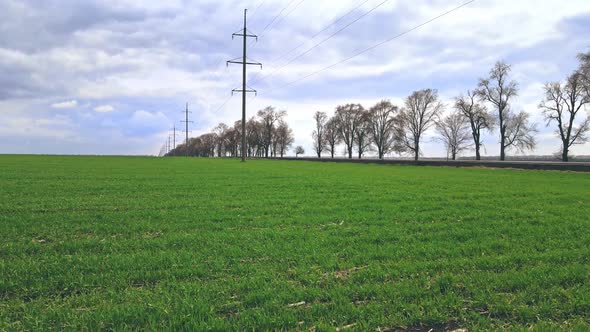 Power Line with Poles on a Green Field