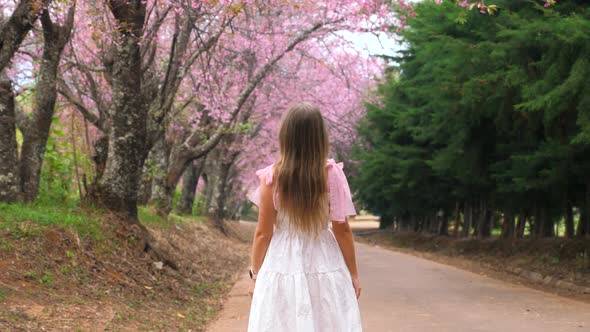 Woman in White Dress Enjoy Sakura Blooming in Garden Spring Cherry Tree Blossom