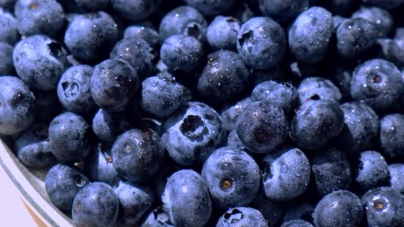 Fresh Blueberries in Plate Rotating Slow Motion