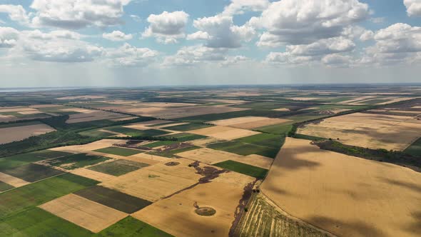 Flight Over the Fields with Burned Crops in the Kherson Region