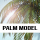 Palm Tree Model - 3DOcean Item for Sale