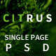Citrus - OnePage Portfolio PSD Template - ThemeForest Item for Sale