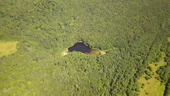 Aerial view of a small forest lake in the middle of green dense woods in summer