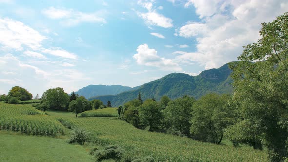 Countryside With Corn Field Landscape