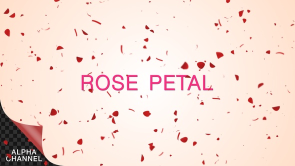 Rose Petals