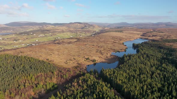 The Reforestation Continues at Bonny Glen in County Donegal  Ireland