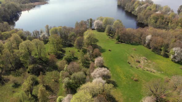 Valle Area Famous For Thousands Of Wild Cherry Blossom Trees And Lake Aerial