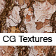 Realistic Pine Bark Textures  - 3DOcean Item for Sale