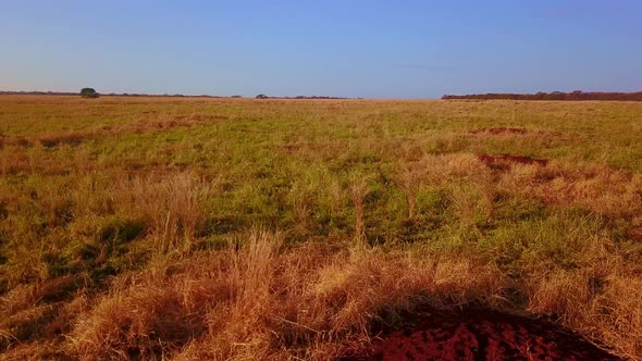 Low flying drone shot over the dry fields in rural Bahia