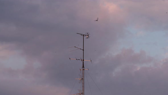 Tv antenna (Timelapse)