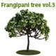 Frangipani Tree v.3 - 3DOcean Item for Sale