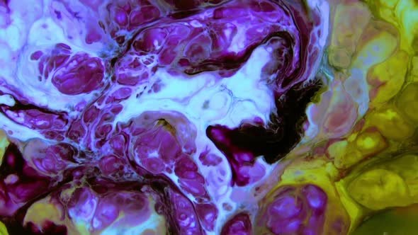 Abstract Colorful Colours Paint Ink Explode 24 alt