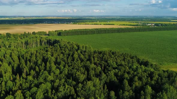 Aerial View of Green Grassy Fields in the Summer Day with Woods and Villages