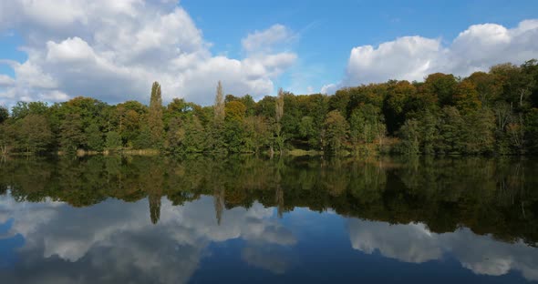 The pond Saint Peter, Forest of Compiegne, Picardy, France