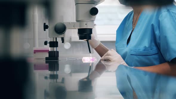 Medical Samples Are Being Tested By a Female Science Worker