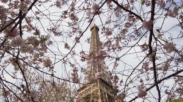 Eiffel Tour and From Trocadero Paris