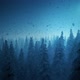 Snow storm in a forest looped HD - VideoHive Item for Sale