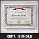 Multipurpose Certificates Bundle - GraphicRiver Item for Sale