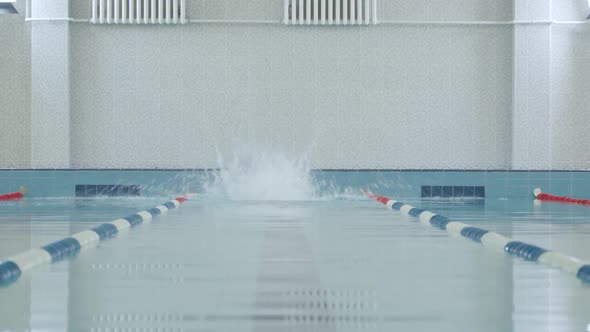 Young Professional Man Swimmer Jumping Into the Water and Swims in the Pool Training in the Water