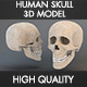 Human Skull 3d Model - 3DOcean Item for Sale