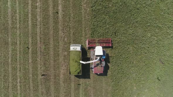 Top down aerial view of Combine harvesting and truck on wheat field. 18