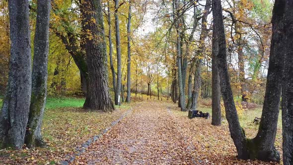 Golden Autumn In A Country Estate 38