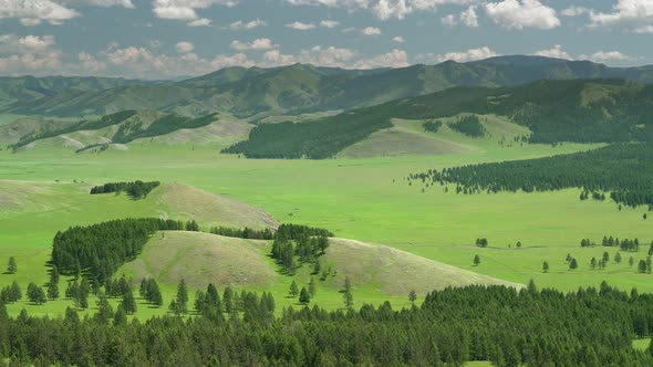 Green Meadows in The Sparsely Wooded Between Forest Covered Hills