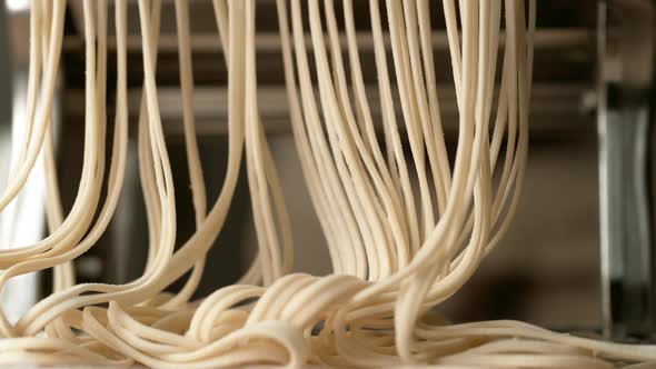 Fresh pasta coming out of pasta machine. Slow Motion.