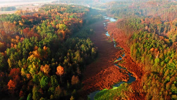 Brown swamps and river in autumn at sunrise, aerial view