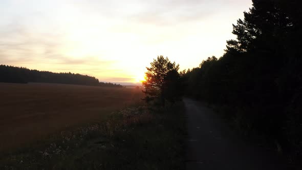 Aerial View of Dawn in The Field