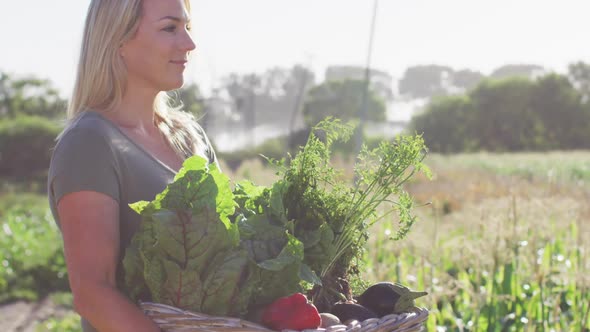 Video of happy caucasian woman with box of fresh vegetables in field on sunny day