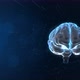 Rotating Brain - VideoHive Item for Sale