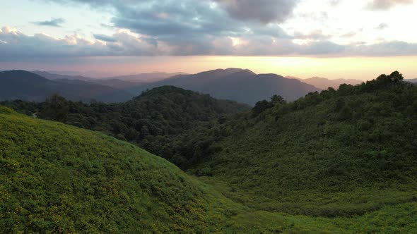 Aerial landscape view of greenery rainforest mountains before sunset by drone