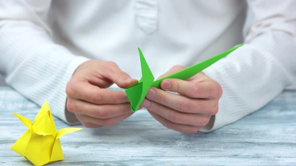 Hands Making Tulip From Paper.