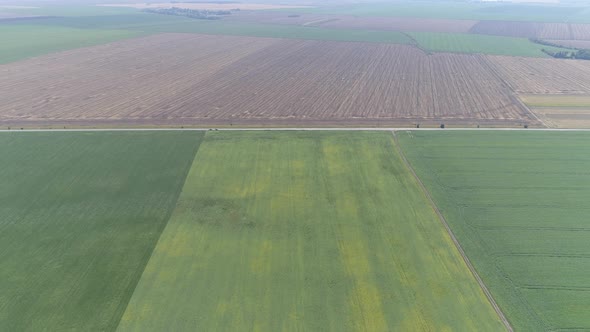 Aerial view of fields