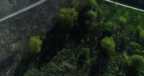 Aerial view of the garbage dump partially covered with vegetation.