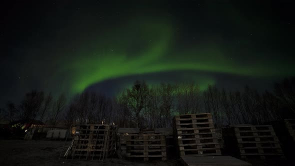 Starry Skies and the Magnificent Northern Lights