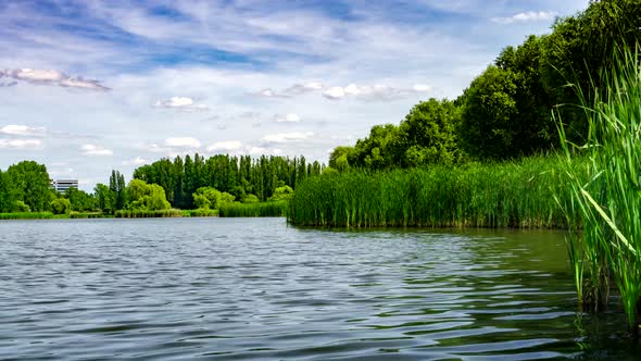 Green Urban Park