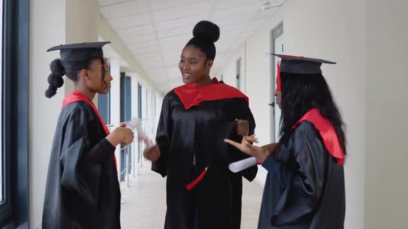 A Group of African American Students with Diplomas Communicate in the University Building