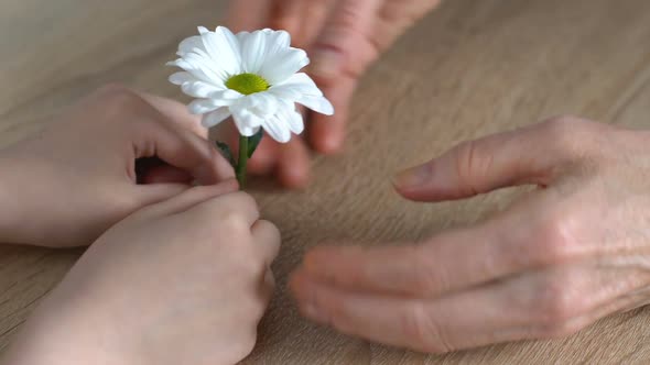 Old Granny With Tenderness and Trembling Holding Small Hands of Her Grandchild