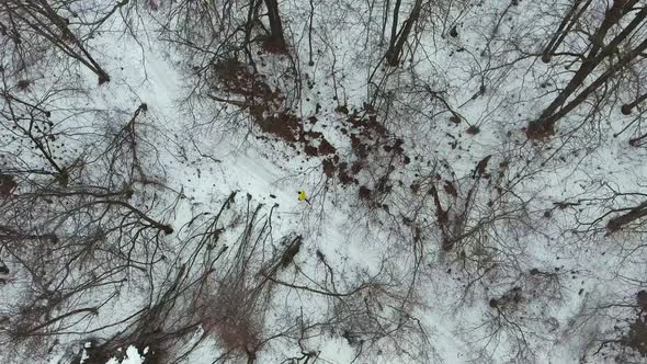 Athlete in Yellow Coat Jogging in Forest on Cold Winter Day