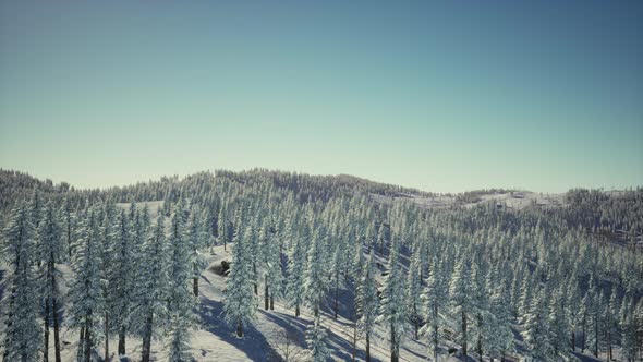 Splendid Alpine Scenery in Winter