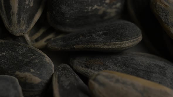 Cinematic, rotating shot of sunflower seeds on a white surface - SUNFLOWER SEEDS 026